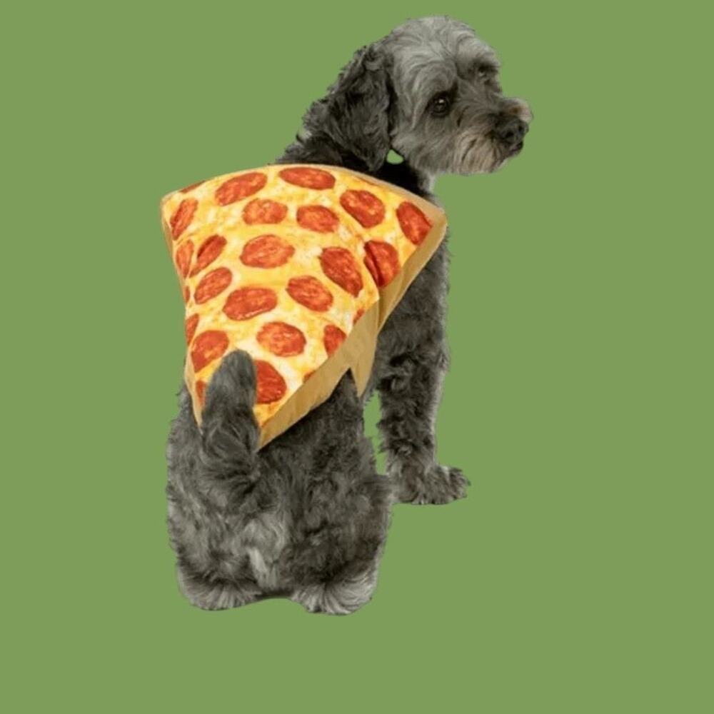 pizza slice Halloween costume